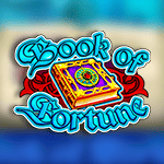 Book Of Fortune