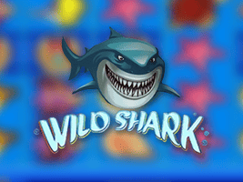 Wild Shark