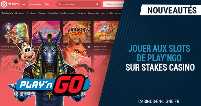 les raisons qui poussent à jouer les slots play'n'go sur stakes casino