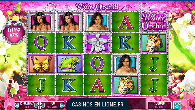 jeu white orchid screenshot